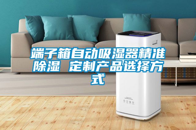 端子箱自動吸濕器精準91看片网站视频 定製產品選擇方式