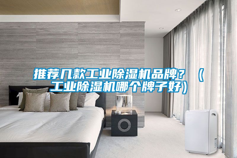 推薦幾款工業91看片网站视频機品牌？（工業91看片网站视频機哪個牌子好）