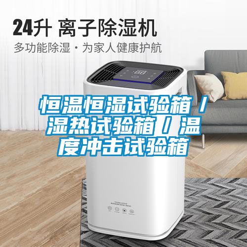 恒溫恒濕試驗箱／濕熱試驗箱／溫度衝擊試驗箱