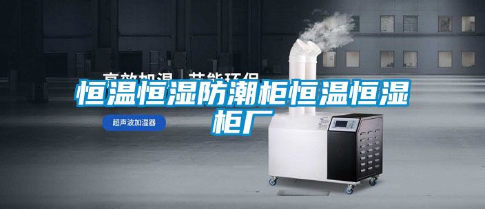 恒溫恒濕防潮櫃恒溫恒濕櫃廠