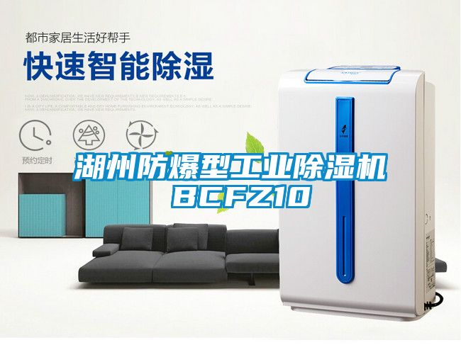 湖州防爆型工業91看片网站视频機 BCFZ10