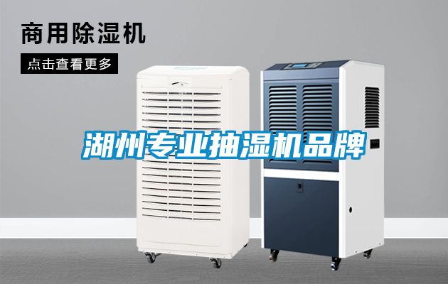 湖州專業抽濕機品牌