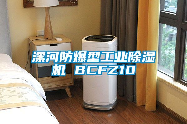 漯河防爆型工業91看片网站视频機 BCFZ10