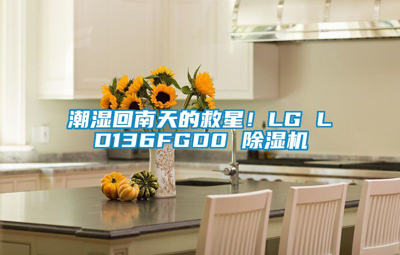 潮濕回南天的救星！LG LD136FGD0 91看片网站视频機