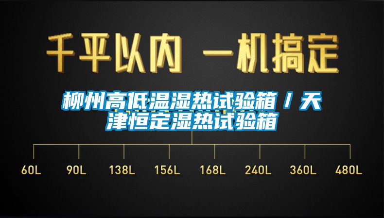 柳州高低溫濕熱試驗箱／天津恒定濕熱試驗箱