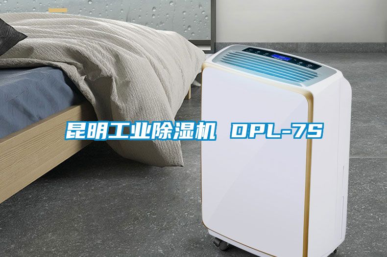 昆明工業91看片网站视频機 DPL-7S