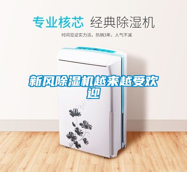 新風91看片网站视频機越來越受歡迎