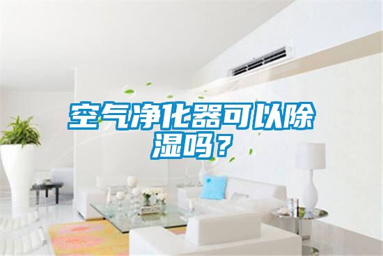 空氣淨化器可以91看片网站视频嗎？