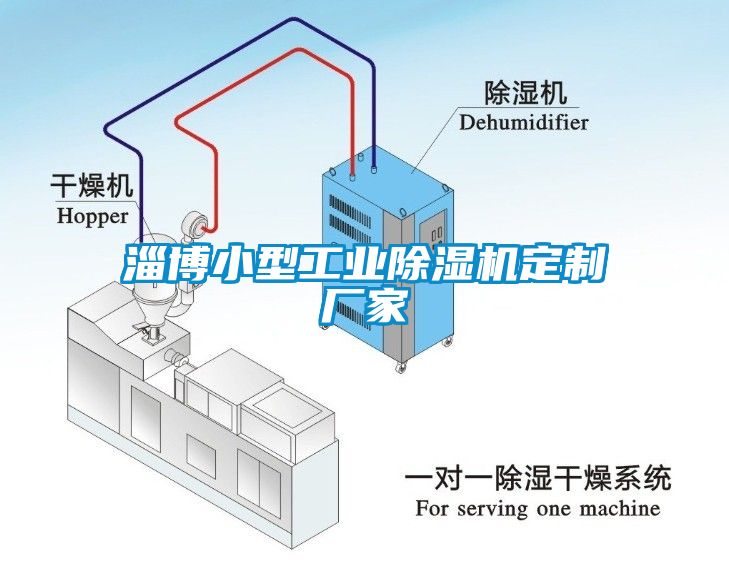 淄博小型工業91看片网站视频機定製廠家