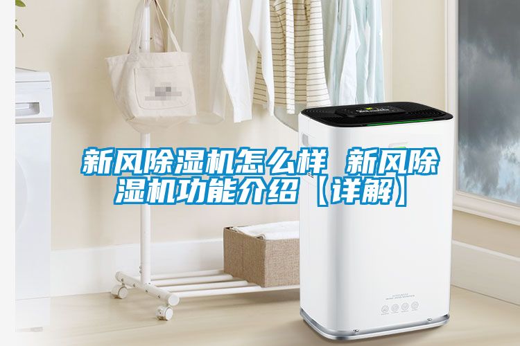 新風91看片网站视频機怎麽樣 新風91看片网站视频機功能介紹【詳解】