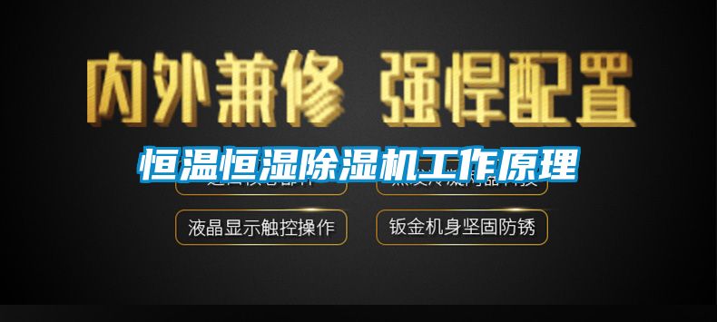 恒溫恒濕91看片网站视频機工作原理