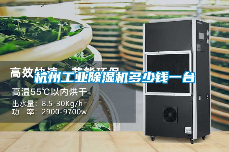 杭州工業91看片网站视频機多少錢一台
