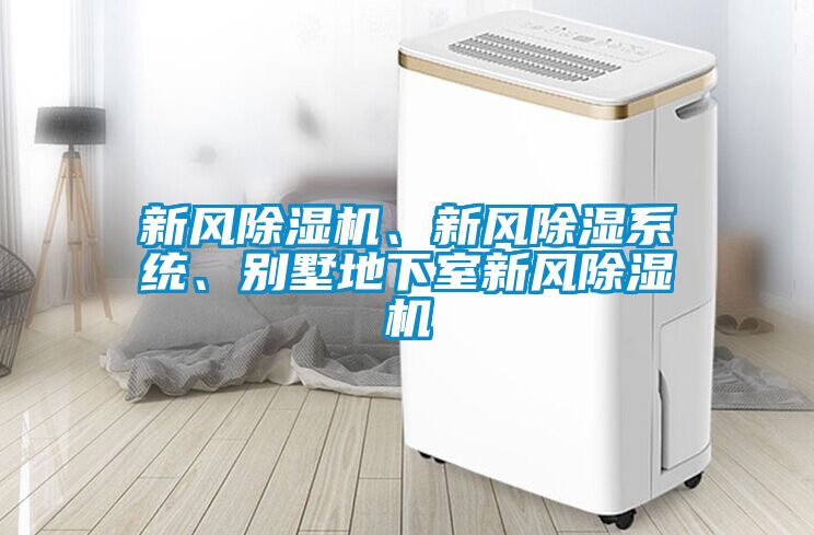 新風91看片网站视频機、新風91看片网站视频係統、別墅地下室新風91看片网站视频機