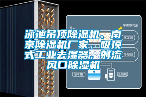 泳池吊頂91看片网站视频機、南京91看片网站视频機廠家、吸頂式工業去濕器，射流風口91看片网站视频機