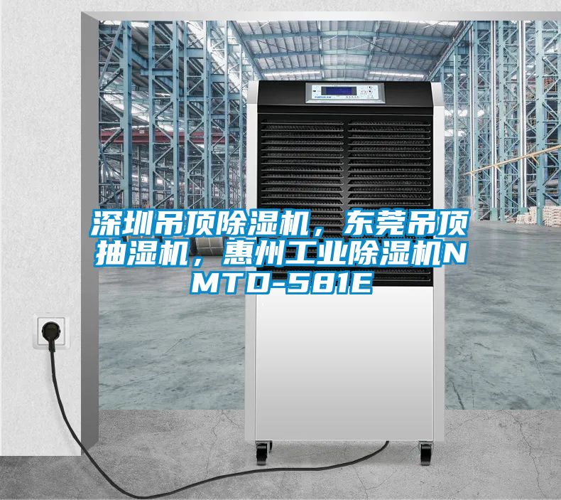 深圳吊頂91看片网站视频機，東莞吊頂抽濕機，惠州工業91看片网站视频機NMTD-581E
