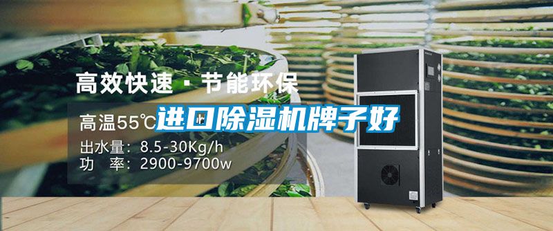 進口91看片网站视频機牌子好