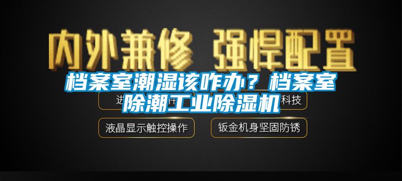 檔案室潮濕該咋辦？檔案室除潮工業91看片网站视频機