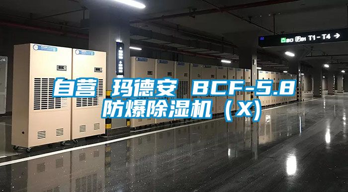 自營 瑪德安 BCF-5.8 防爆91看片网站视频機（X)