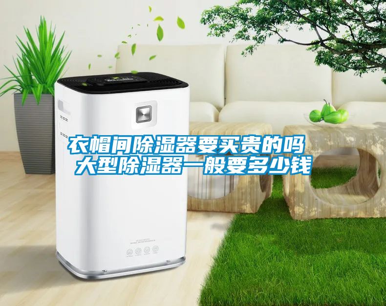 衣帽間91看片网站视频器要買貴的嗎 大型91看片网站视频器一般要多少錢