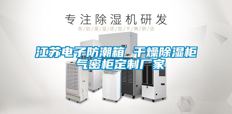 江蘇電子防潮箱 幹燥91看片网站视频櫃 氣密櫃定製廠家