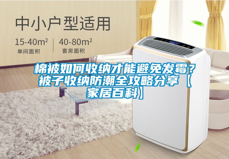 棉被如何收納才能避免發黴？被子收納防潮全攻略分享【家居百科】