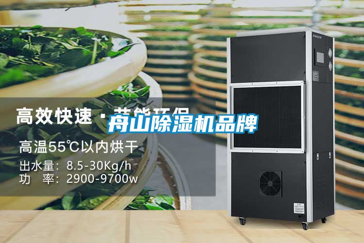 舟山91看片网站视频機品牌