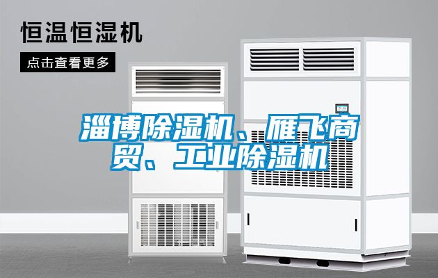 淄博91看片网站视频機、雁飛商貿、工業91看片网站视频機