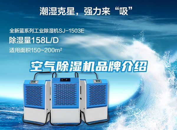 空氣91看片网站视频機品牌介紹