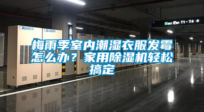 梅雨季室內潮濕衣服發黴怎麽辦？家用91看片网站视频機輕鬆搞定