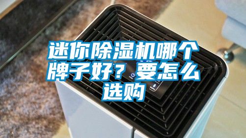 迷你91看片网站视频機哪個牌子好？要怎麽選購