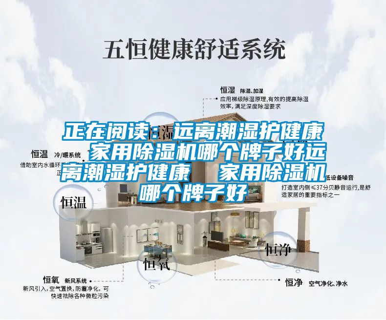 正在閱讀：遠離潮濕護健康  家用91看片网站视频機哪個牌子好遠離潮濕護健康  家用91看片网站视频機哪個牌子好