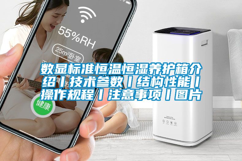 數顯標準恒溫恒濕養護箱介紹丨技術參數丨結構性能丨操作規程丨注意事項丨圖片