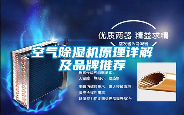 空氣91看片网站视频機原理詳解及品牌推薦