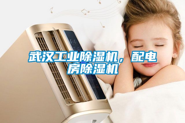 武漢工業91看片网站视频機，配電房91看片网站视频機