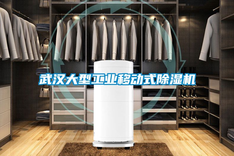 武漢大型工業移動式91看片网站视频機