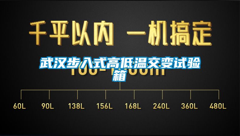 武漢步入式高低溫交變試驗箱