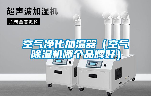 空氣淨化加濕器（空氣91看片网站视频機哪個品牌好）