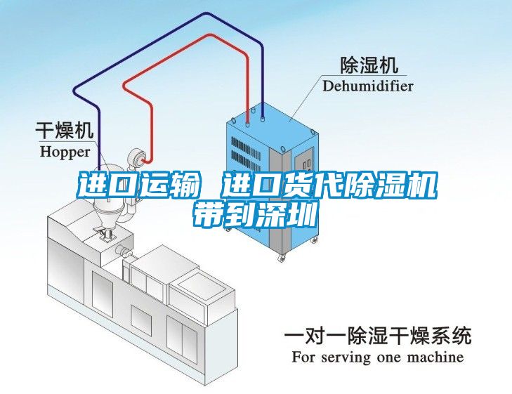 進口運輸 進口貨代91看片网站视频機帶到深圳