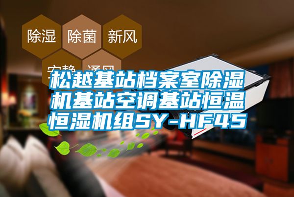 鬆越基站檔案室91看片网站视频機基站空調基站恒溫恒濕機組SY-HF45