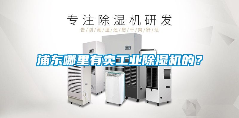 浦東哪裏有賣工業91看片网站视频機的？