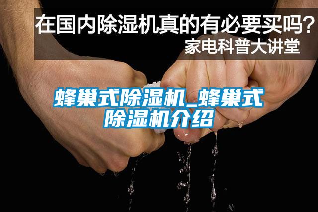 蜂巢式91看片网站视频機_蜂巢式91看片网站视频機介紹