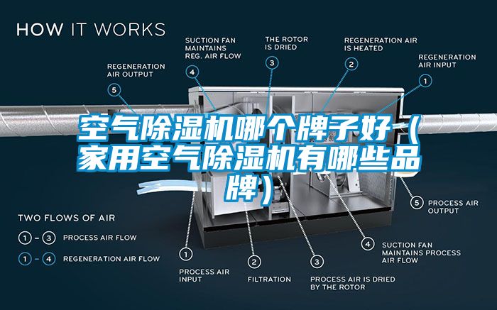 空氣91看片网站视频機哪個牌子好（家用空氣91看片网站视频機有哪些品牌）