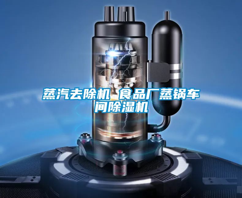 蒸汽去除機 食品廠蒸鍋車間91看片网站视频機