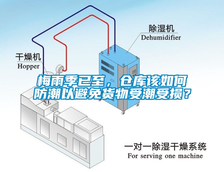 梅雨季已至，倉庫該如何防潮以避免貨物受潮受損？