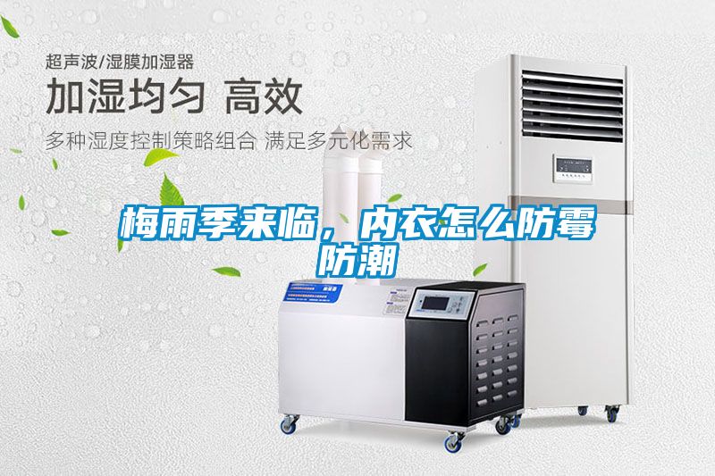 梅雨季來臨，內衣怎麽防黴防潮