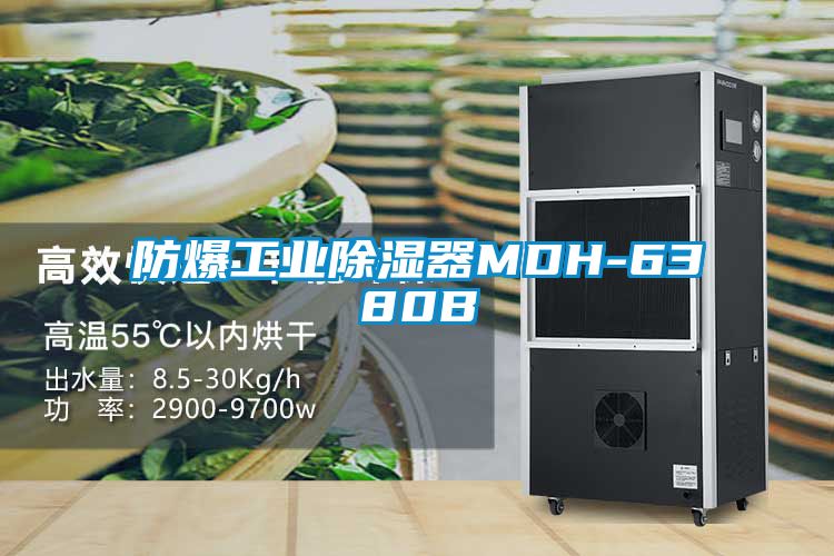 防爆工業91看片网站视频器MDH-6380B