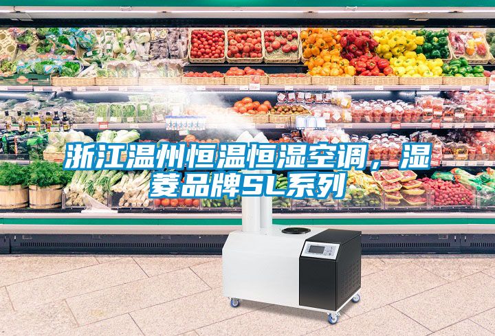 浙江溫州恒溫恒濕空調，濕菱品牌SL係列