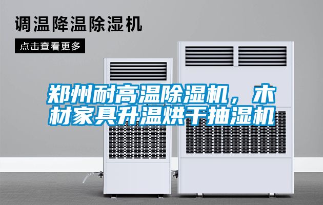 鄭州耐高溫91看片网站视频機，木材家具升溫烘幹抽濕機