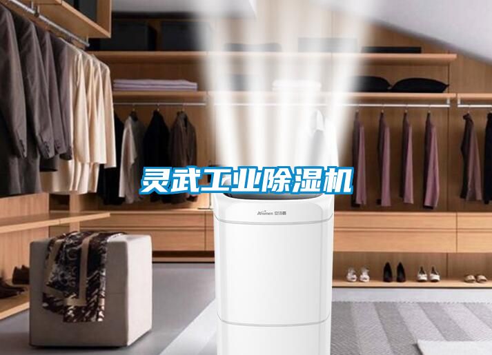 靈武工業91看片网站视频機