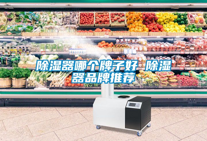 91看片网站视频器哪個牌子好 91看片网站视频器品牌推薦